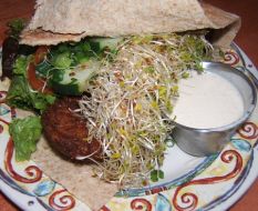 Falafel Pita